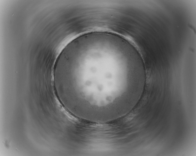 X0000103241287200808281432