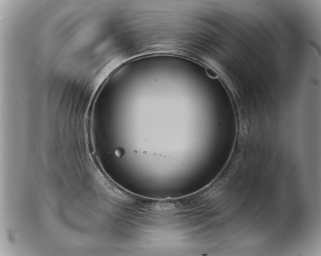X0000103241291200808281432