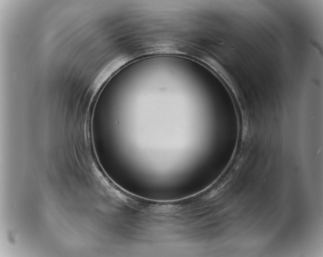X0000103241293200808281432