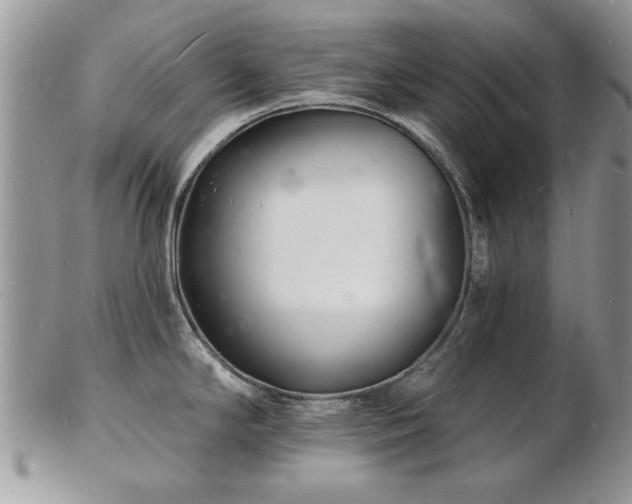 X0000103241294200808281432