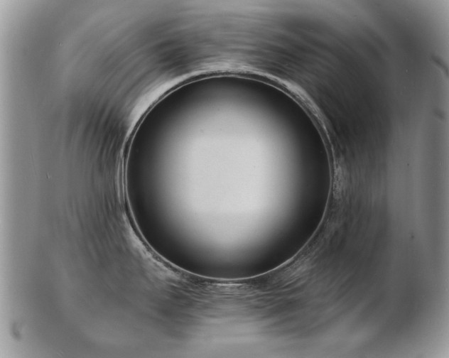 X0000103241295200808281432