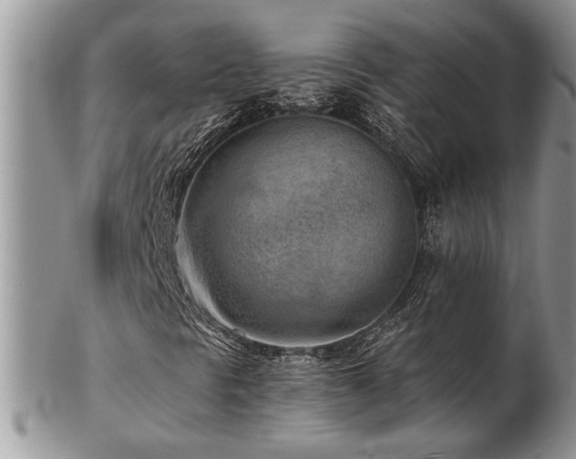 X0000103241297200808281432
