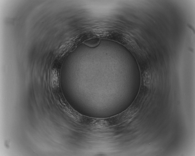 X0000103241298200808281432