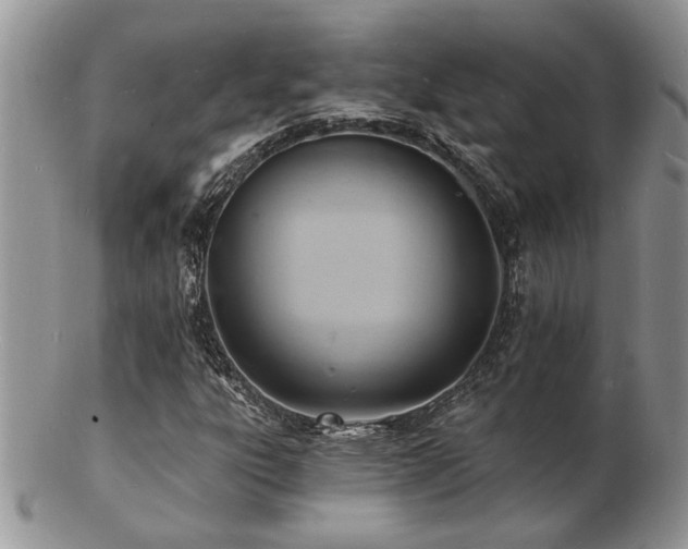 X0000103241303200808281432