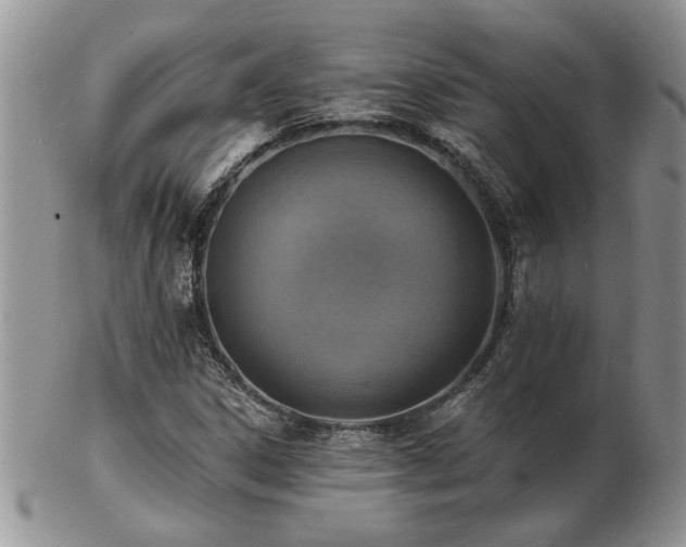 X0000103241306200808281432