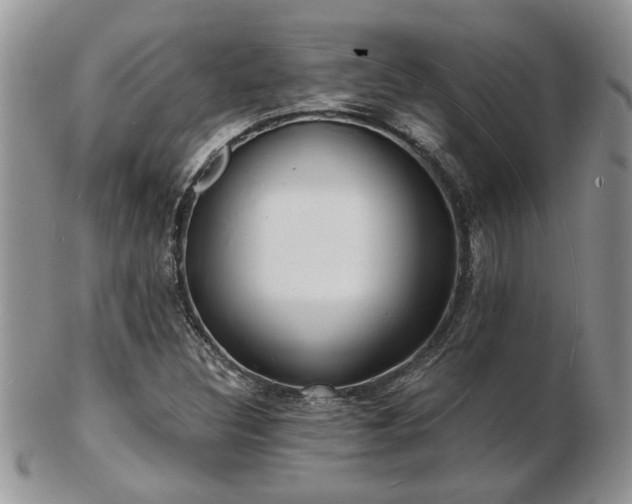 X0000103241308200808281432
