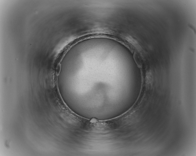X0000103241310200808281432