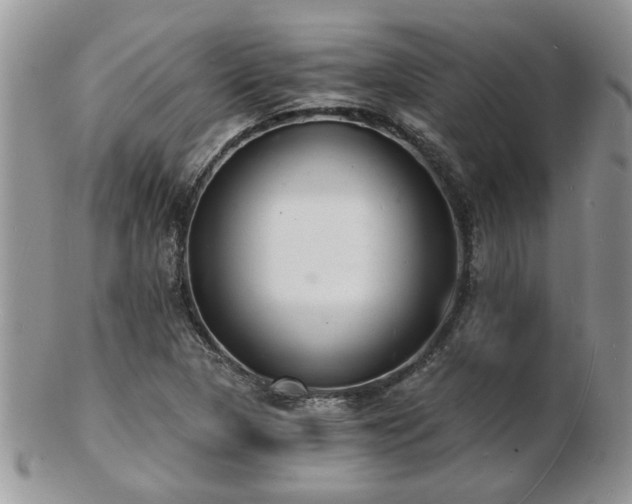 X0000103241313200808281432