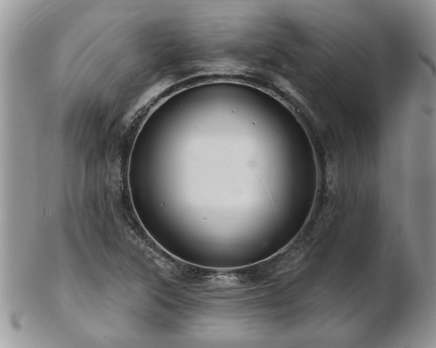 X0000103241315200808281432