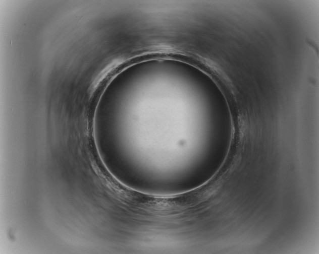 X0000103241318200808281432