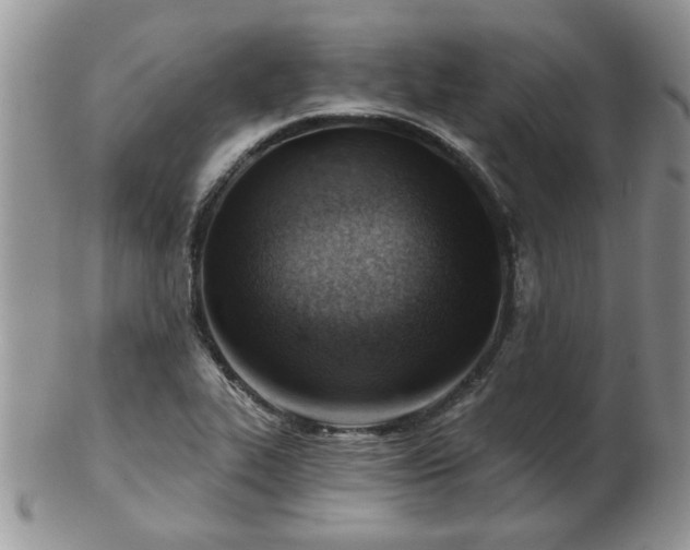 X0000103241319200808281432