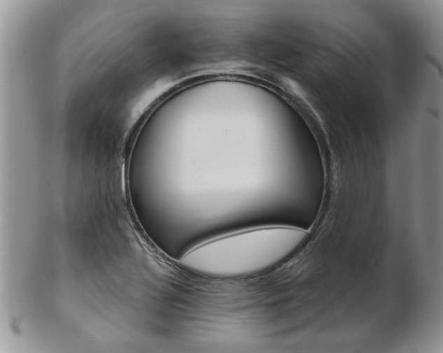X0000103241320200808281432