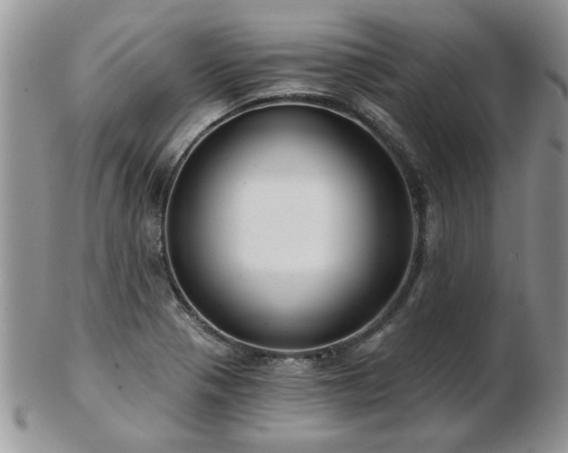 X0000103241321200808281432