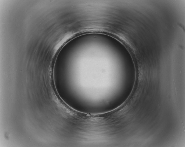 X0000103241325200808281432
