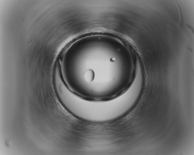 X0000103241326200808281432