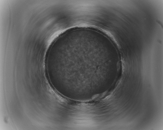 X0000103241327200808281432