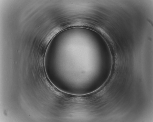 X0000103241329200808281432