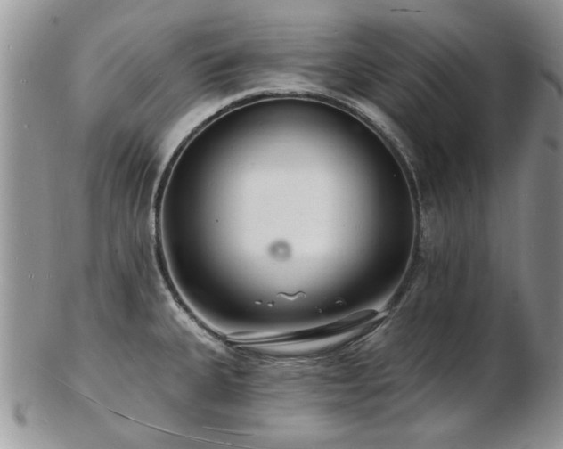 X0000103241335200808281432
