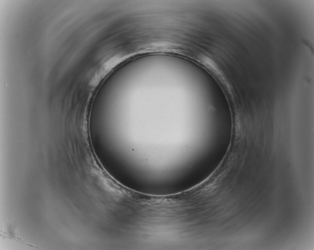 X0000103241336200808281432