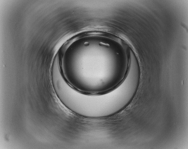 X0000103241344200808281432