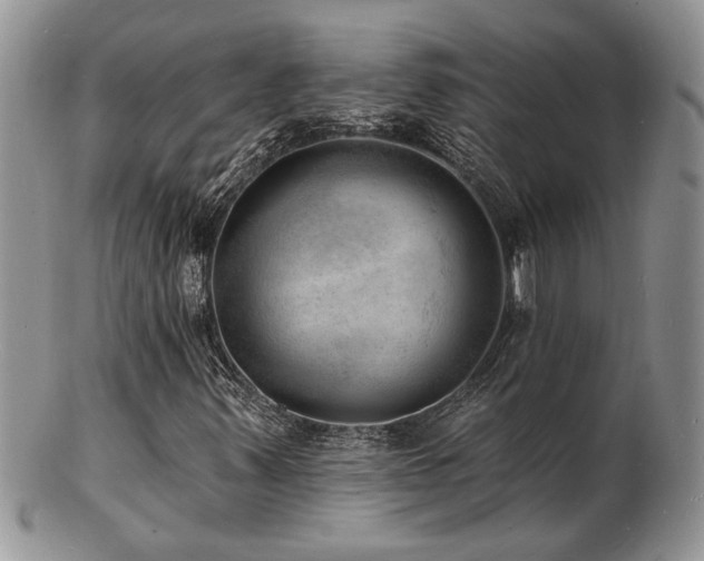 X0000103241347200808281432