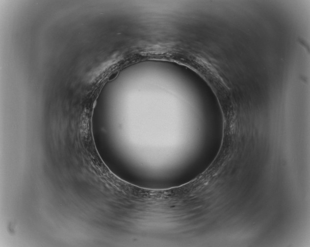 X0000103241350200808281432