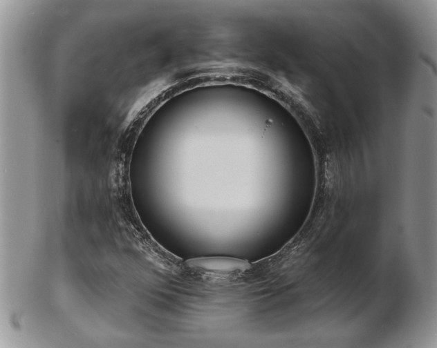 X0000103241352200808281432