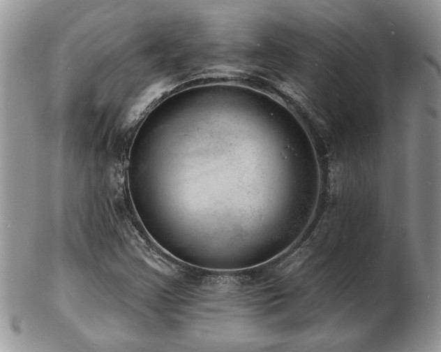 X0000103241355200808281431