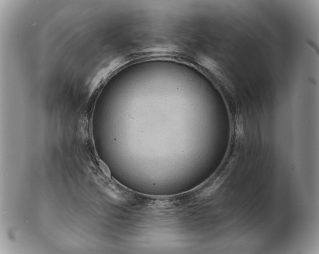 X0000103241357200808281431
