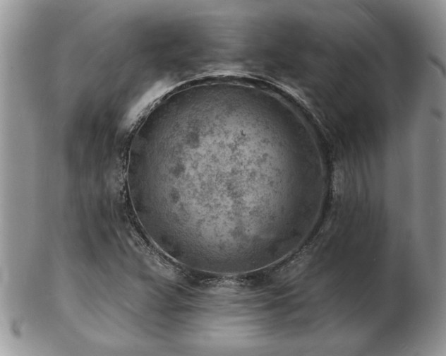 X0000103241359200808281431