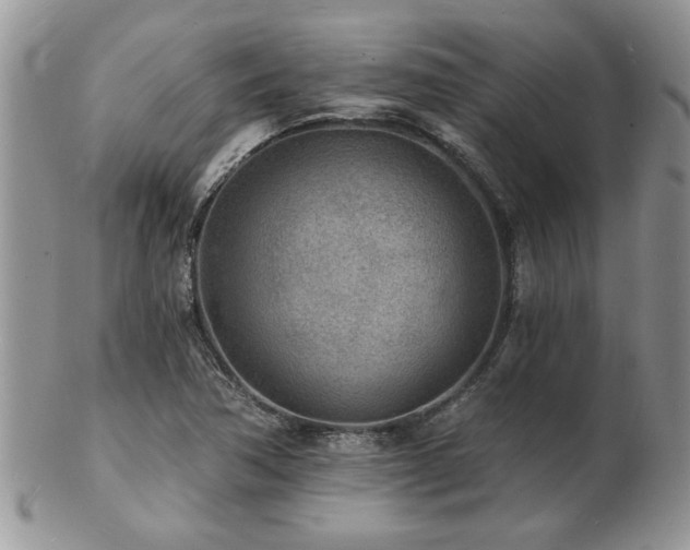 X0000103241362200808281431