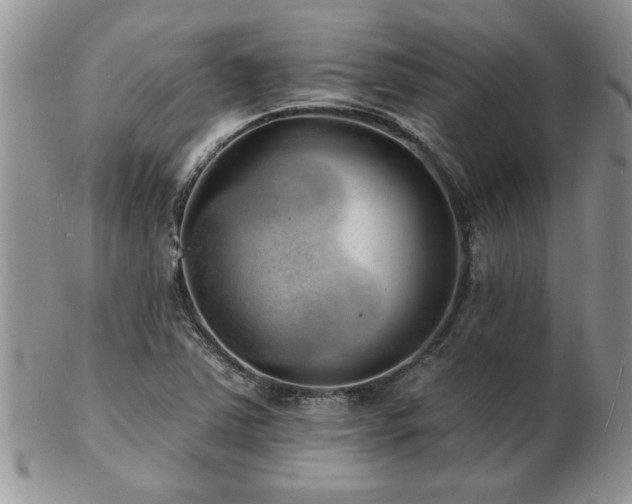 X0000103241363200808281431