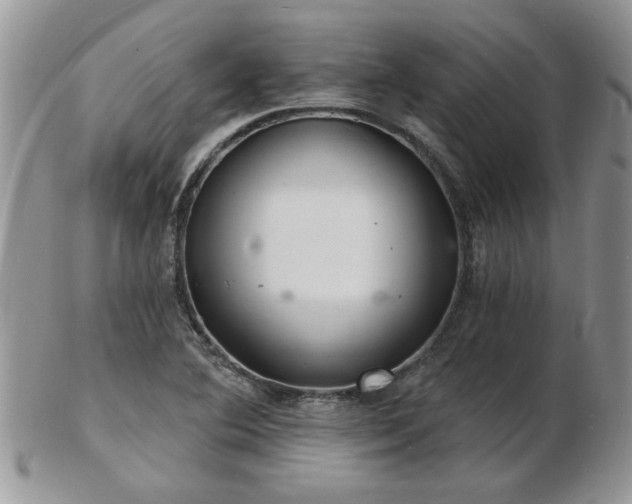 X0000103241364200808281431