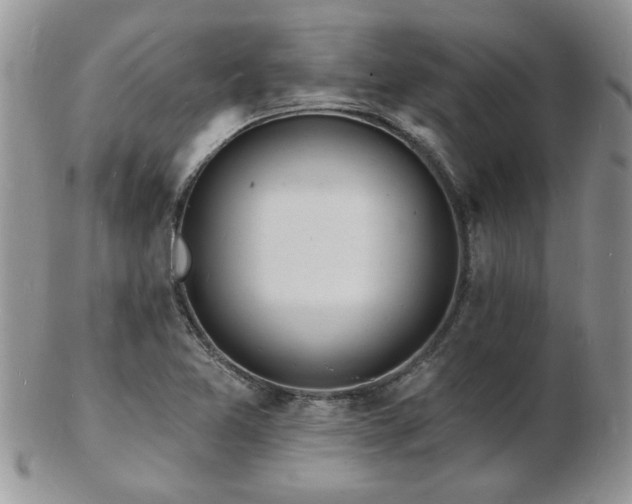 X0000103241365200808281431
