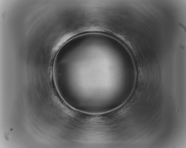 X0000103241367200808281431