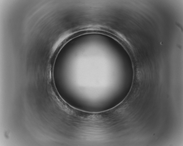 X0000103241368200808281431