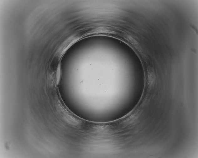 X0000103241369200808281431
