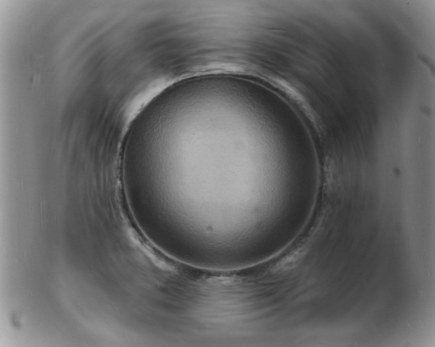 X0000103241373200808281431
