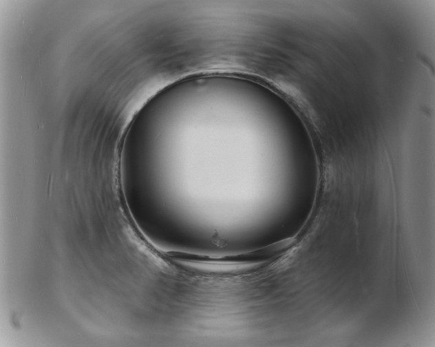X0000103241374200808281431