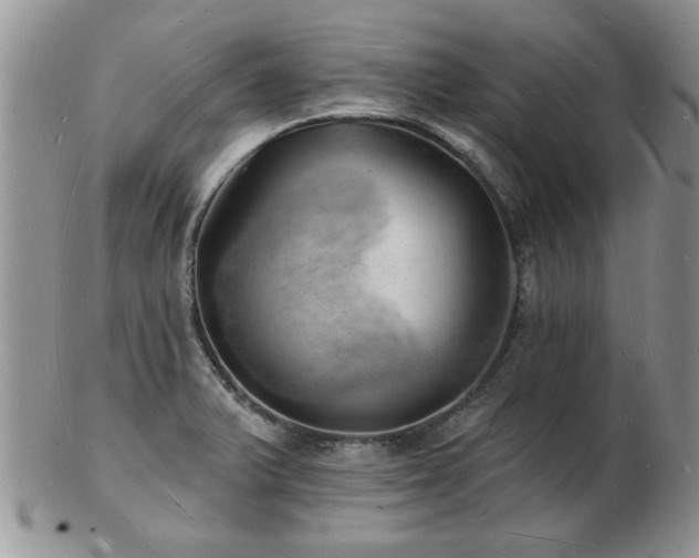 X0000103241375200808281431