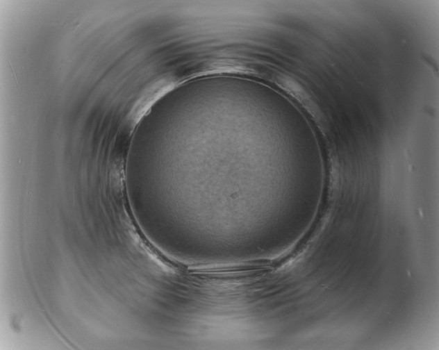 X0000103241377200808281431