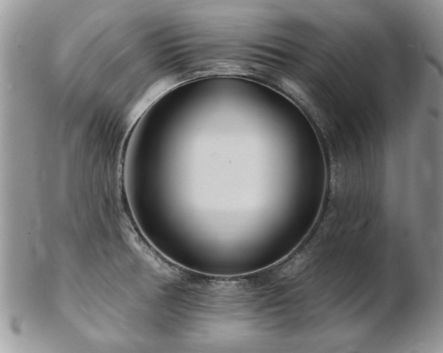 X0000103241378200808281431