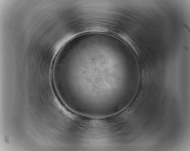 X0000103241379200808281431