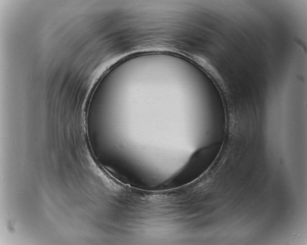 X0000103241380200808281431