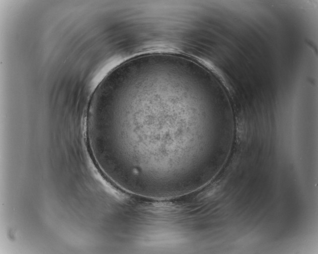 X0000103241383200808281431