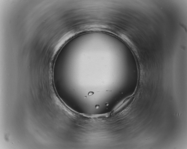 X0000103241384200808281431