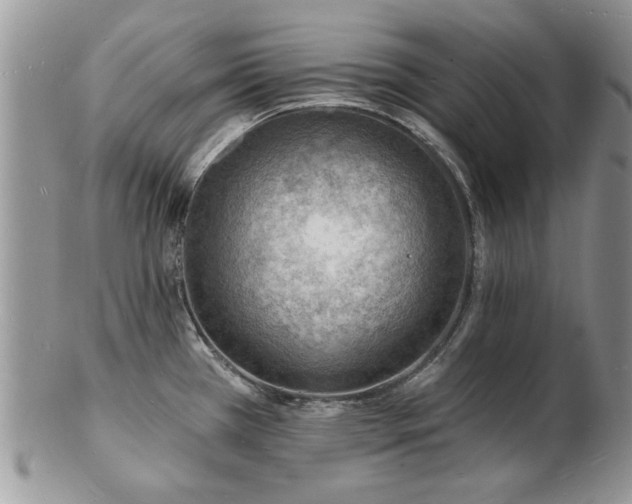 X0000103241385200808281431