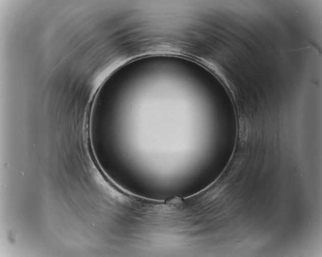 X0000103241387200808281431