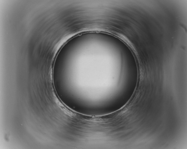 X0000103241388200808281431