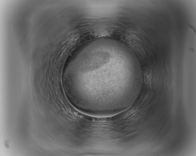 X0000103241393200808281430